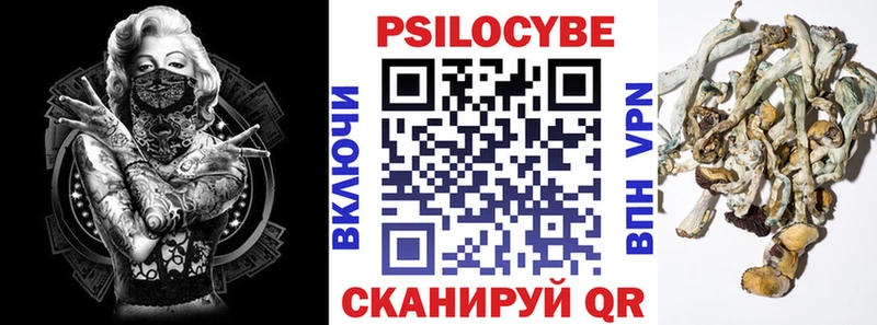 Галлюциногенные грибы мицелий  Каргополь 