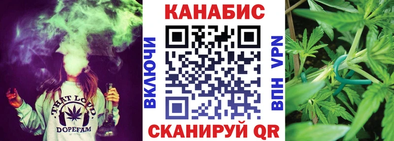 закладки  Каргополь  ОМГ ОМГ зеркало  Каннабис SATIVA & INDICA 